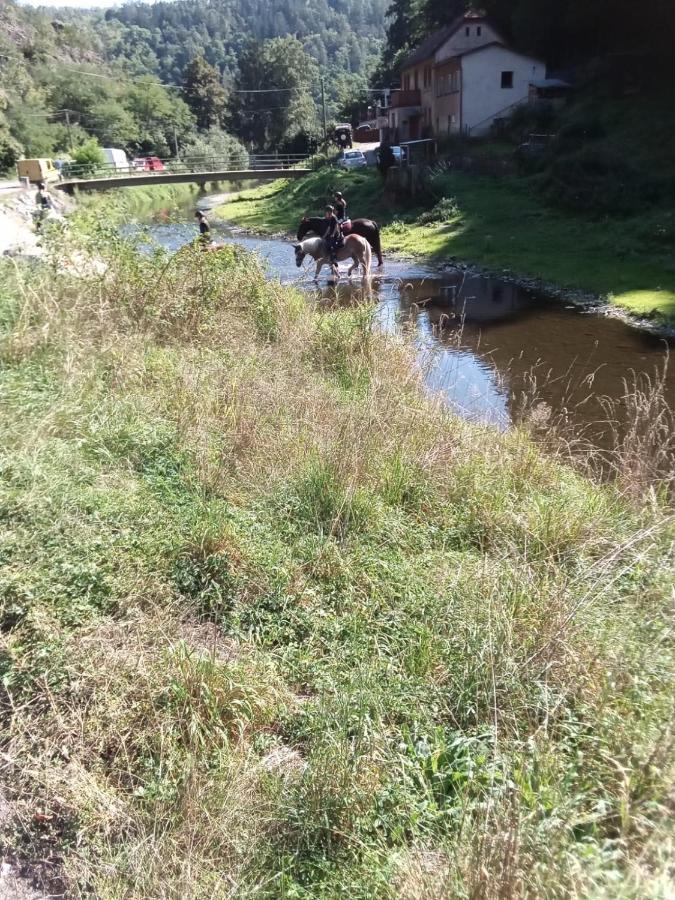 Rekreacni Chata Kocaba Stechovice  Экстерьер фото